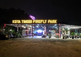 Kota Tinggi Firefly